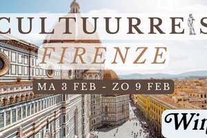 Firenze- cultuurrijs.png